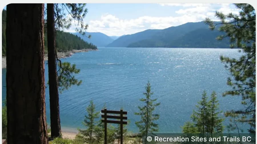 A quiet forested lakeshore with a single bench at the water