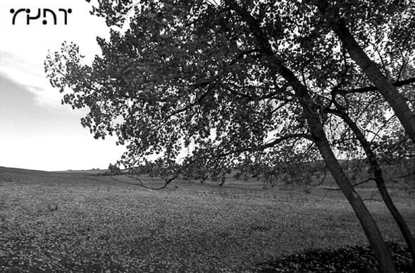 R4NT October 2001 cover: a black-and-white field with a tree on the right and an open sky