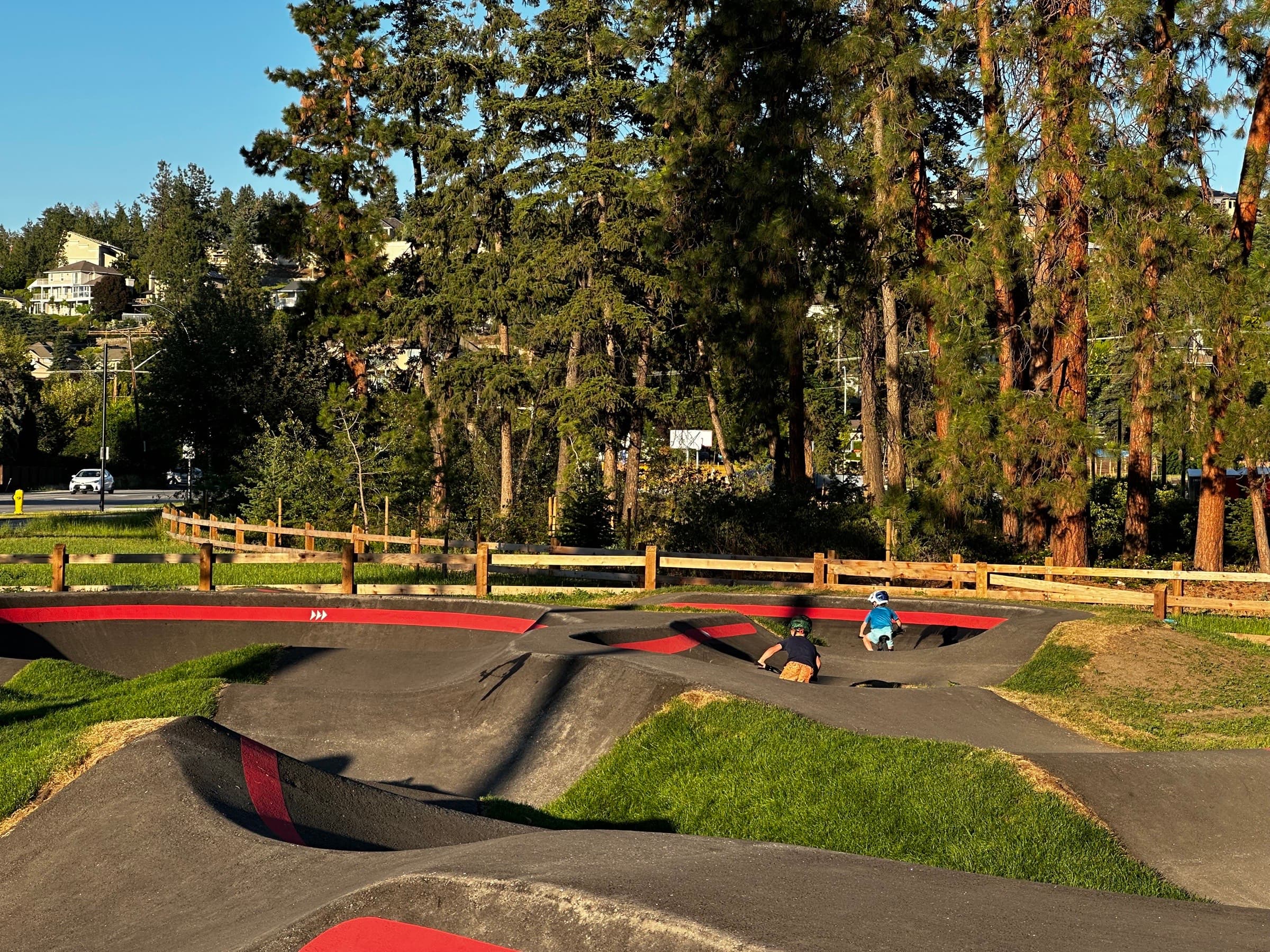 Paved asphalt pump track with rolling berms and red detailing, two riders on it, set in a pine grove