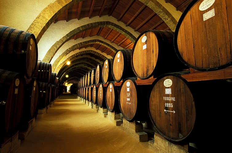 Italian wine cellar with rows of large aged oak barrels in a vaulted stone passageway, one labeled Vergine 1995